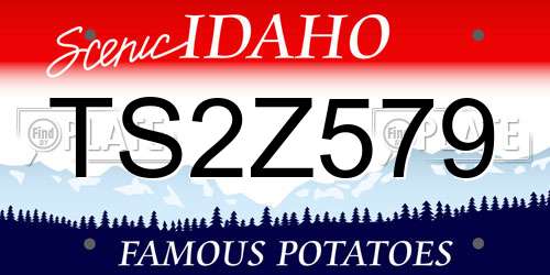 TS2Z579 Idaho License Plate