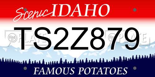 TS2Z879 Idaho License Plate