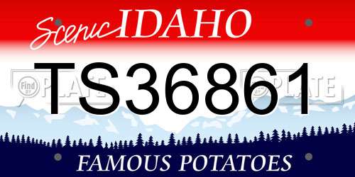 TS36861 Idaho License Plate