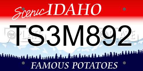 TS3M892 Idaho License Plate