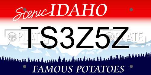 TS3Z5Z Idaho License Plate