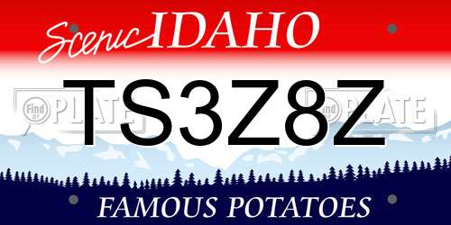 TS3Z8Z Idaho License Plate