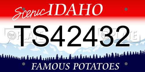 TS42432 Idaho License Plate