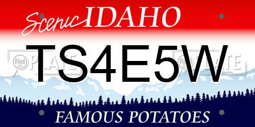 TS4E5W Idaho License Plate