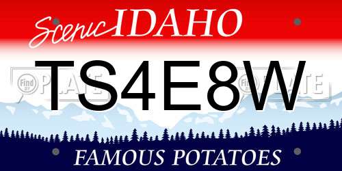 TS4E8W Idaho License Plate