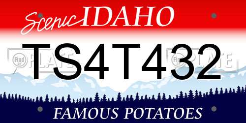 TS4T432 Idaho License Plate
