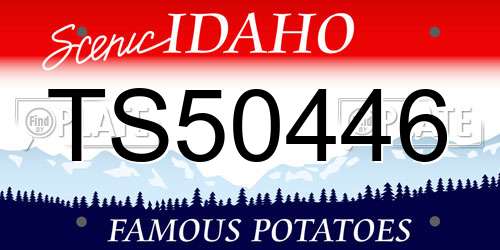 TS50446 Idaho License Plate