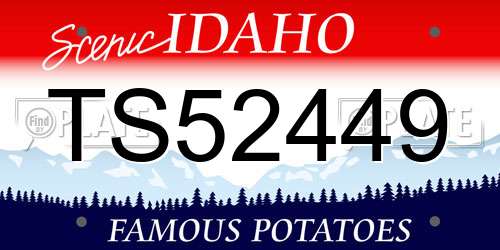 TS52449 Idaho License Plate