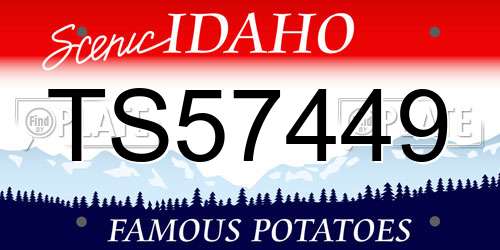 TS57449 Idaho License Plate