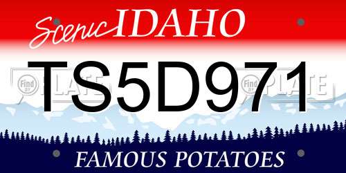 TS5D971 Idaho License Plate