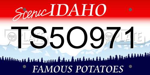 TS5O971 Idaho License Plate