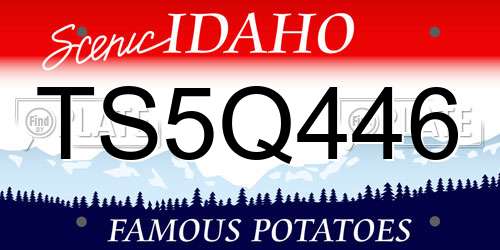 TS5Q446 Idaho License Plate
