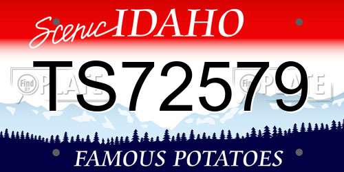 TS72579 Idaho License Plate