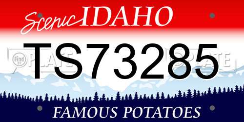 TS73285 Idaho License Plate