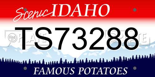 TS73288 Idaho License Plate