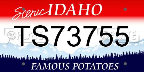 TS73755 Idaho License Plate