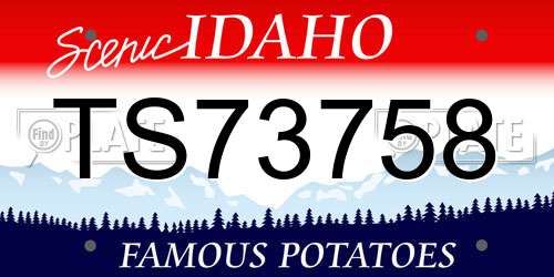 TS73758 Idaho License Plate