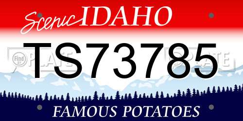 TS73785 Idaho License Plate