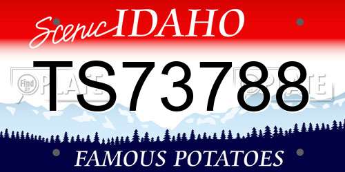 TS73788 Idaho License Plate