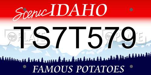 TS7T579 Idaho License Plate