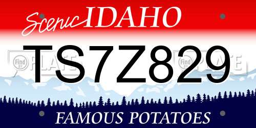 TS7Z829 Idaho License Plate