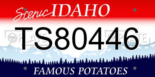 TS80446 Idaho License Plate