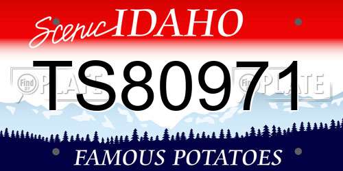 TS80971 Idaho License Plate