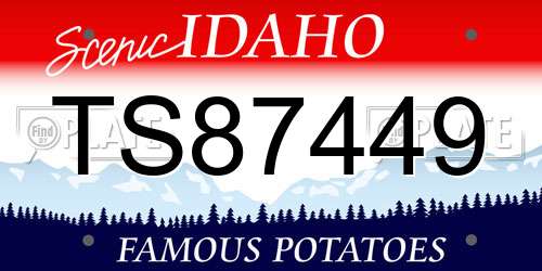 TS87449 Idaho License Plate