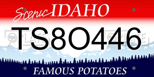 TS8O446 Idaho License Plate