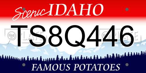 TS8Q446 Idaho License Plate