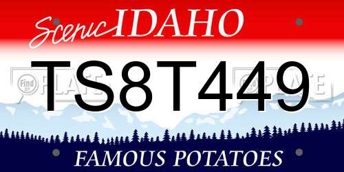TS8T449 Idaho License Plate