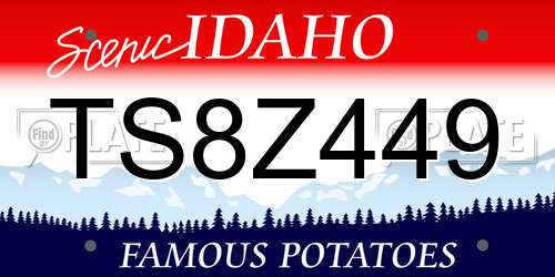 TS8Z449 Idaho License Plate