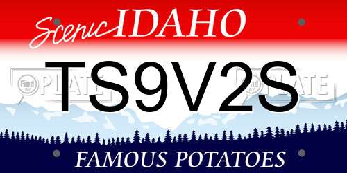 TS9V2S Idaho License Plate