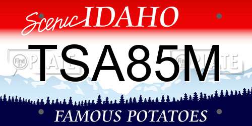 TSA85M Idaho License Plate