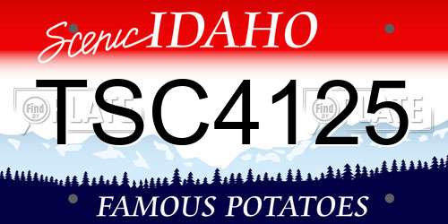 TSC4125 Idaho License Plate