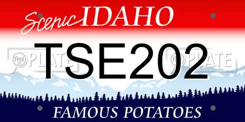 TSE202 Idaho License Plate