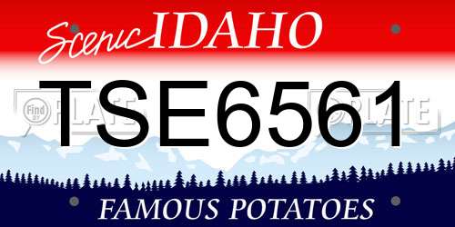 TSE6561 Idaho License Plate
