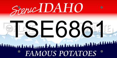 TSE6861 Idaho License Plate
