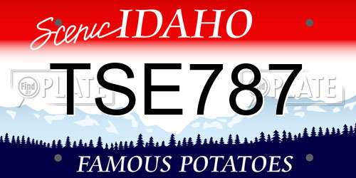TSE787 Idaho License Plate