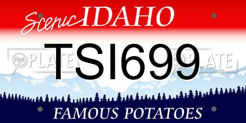 TSI699 Idaho License Plate