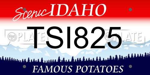 TSI825 Idaho License Plate