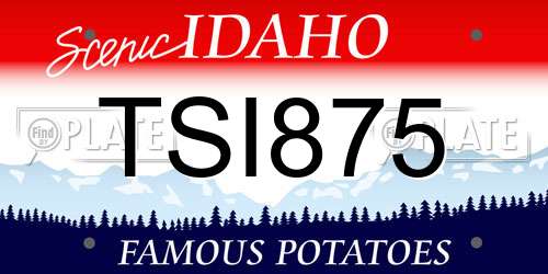 TSI875 Idaho License Plate