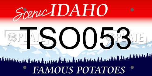 TSO053 Idaho License Plate