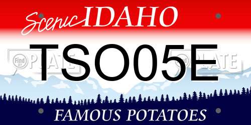 TSO05E Idaho License Plate