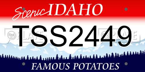 TSS2449 Idaho License Plate