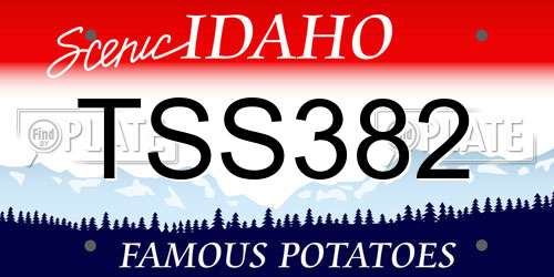 TSS382 Idaho License Plate