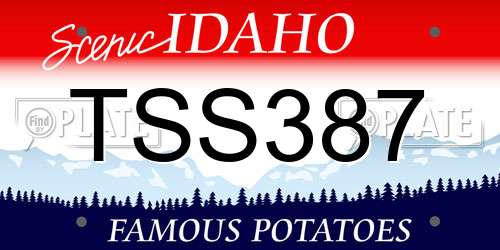 TSS387 Idaho License Plate