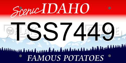 TSS7449 Idaho License Plate