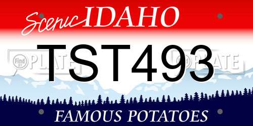 TST493 Idaho License Plate
