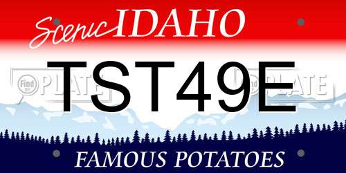 TST49E Idaho License Plate